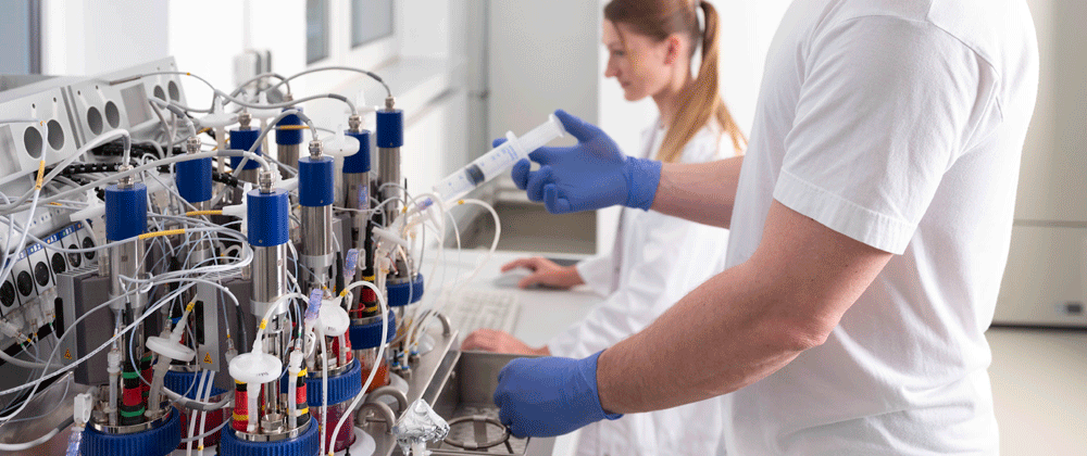 Laborarbeit an Bioreaktoren